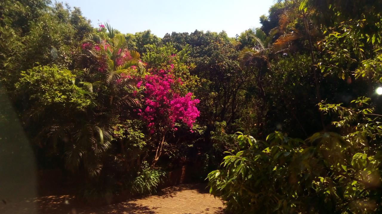 Hotel Tree Top Mahābaleshwar Exterior foto